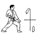 karate stances