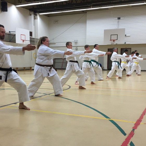 abbotsford karate club history