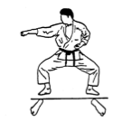 karate stances